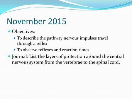 November 2015 Objectives: To describe the pathway nervous impulses travel through a reflex To observe reflexes and reaction times Journal: List the layers.