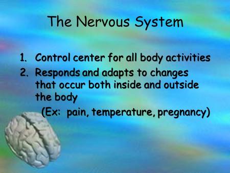 The Nervous System 1.Control center for all body activities 2.Responds and adapts to changes that occur both inside and outside the body (Ex: pain, temperature,