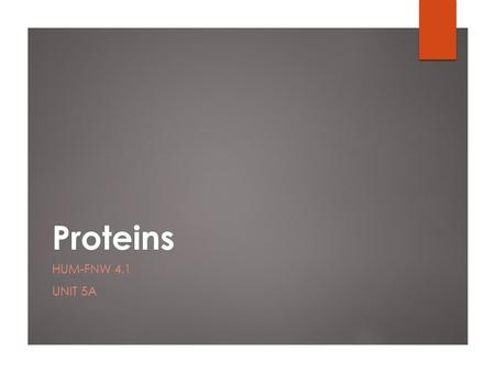Proteins HUM-FNW 4.1 UNIT 5A. Protein: The Basics  Proteins are large complex molecules found in the cells of all living things.  Animal products, such.