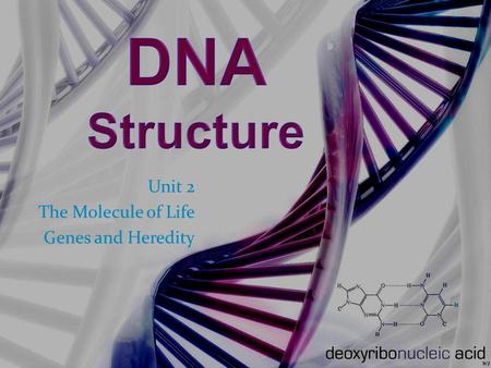 Unit 2 The Molecule of Life Genes and Heredity. What is a gene?