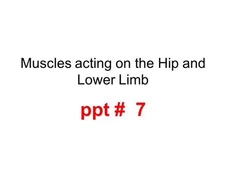 Muscles acting on the Hip and Lower Limb