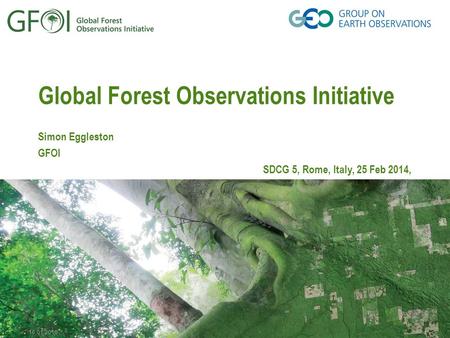16.01.2016 Global Forest Observations Initiative Simon Eggleston GFOI SDCG 5, Rome, Italy, 25 Feb 2014,