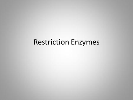 Restriction Enzymes. What Are Restriction Enzymes? Endonucleases produced by prokaryote organisms that are capable of cutting DNA at specific sequences.