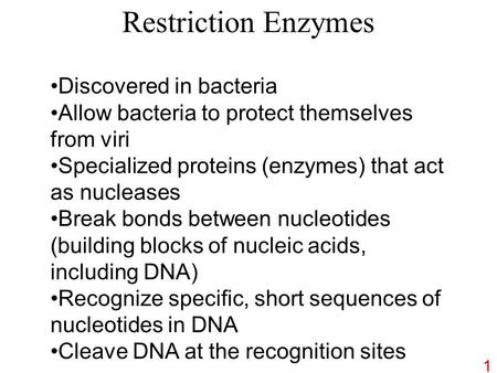 Restriction Enzymes Discovered in bacteria Allow bacteria to protect themselves from viri Specialized proteins (enzymes) that act as nucleases Break bonds.