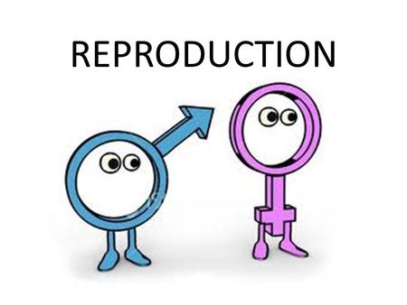 REPRODUCTION. A. All living things are made of cells that REPRODUCE.