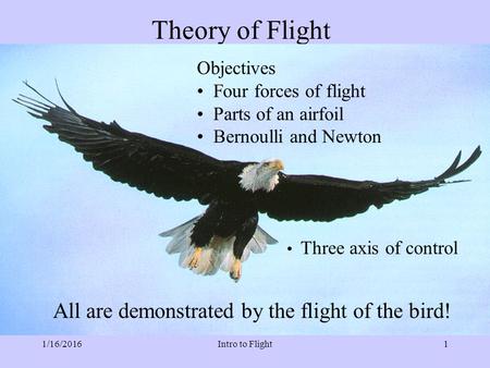 Theory of Flight All are demonstrated by the flight of the bird!