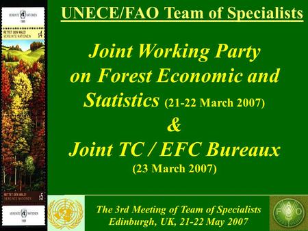 The 3rd Meeting of Team of Specialists Edinburgh, UK, 21-22 May 2007 UNECE/FAO Team of Specialists Joint Working Party on Forest Economic and Statistics.