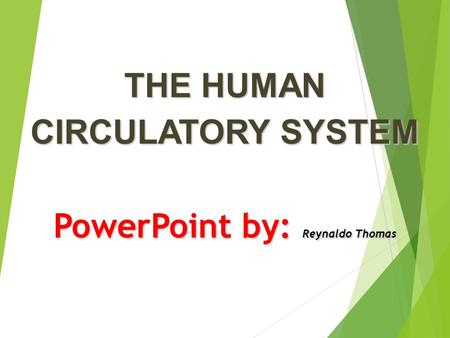 THE HUMAN CIRCULATORY SYSTEM PowerPoint by: Reynaldo Thomas.
