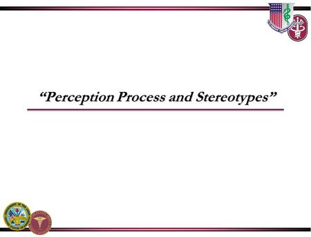 “Perception Process and Stereotypes”. Perceptions Process and Stereotypes.