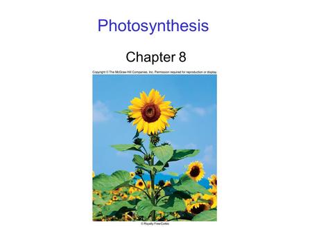 Photosynthesis Chapter 8. 2 Photosynthesis Overview Energy for all life on Earth ultimately comes from photosynthesis. 6CO 2 + 12H 2 O C 6 H 12 O 6 +