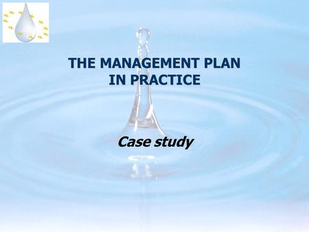 THE MANAGEMENT PLAN IN PRACTICE Case study. RBMP Detailed publication process in the directive...  art. 13: general rules  annex VII: detailed contents.
