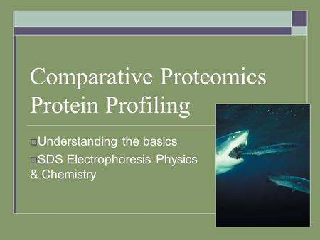  Understanding the basics  SDS Electrophoresis Physics & Chemistry Comparative Proteomics Protein Profiling.