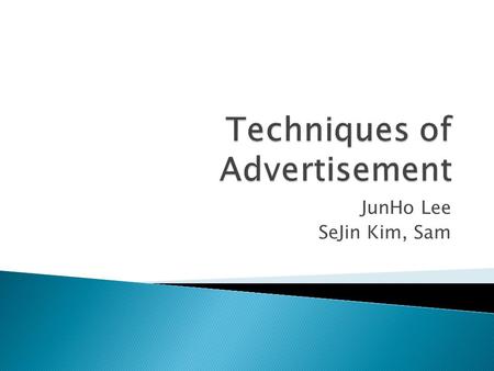 JunHo Lee SeJin Kim, Sam.  Sex appeal  Testimonial  Slogans.