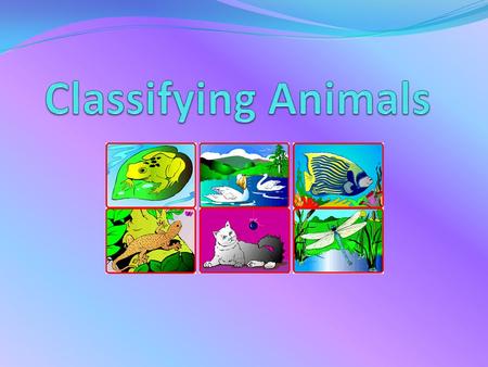 Animals can be classified into six groups Six Classes of Animals MammalsReptiles Amphibians BirdsFish Anthropods.