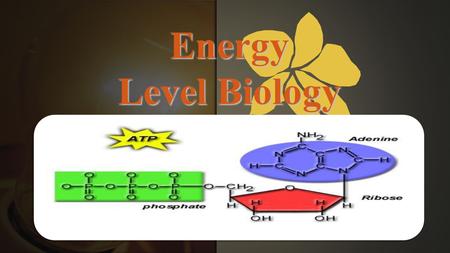 Energy Level Biology. A. Energy in Living Systems 1. Metabolism involves energy by either: a.Using energy to build molecules b.Breaking down molecules.