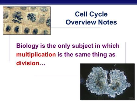 AP Biology 2007-2008 Biology is the only subject in which multiplication is the same thing as division… Cell Cycle Overview Notes.