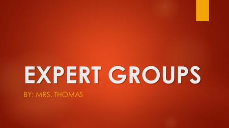 EXPERT GROUPS BY: MRS. THOMAS. Types of Experts  Summarizer  Scene Photographer  Literary Devices Detective  Real Life Connector  Historian (Timeline)