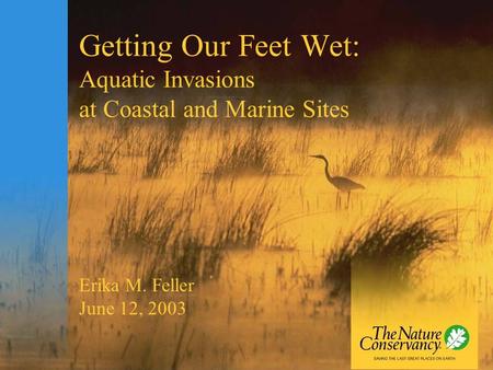Getting Our Feet Wet: Aquatic Invasions at Coastal and Marine Sites Erika M. Feller June 12, 2003.