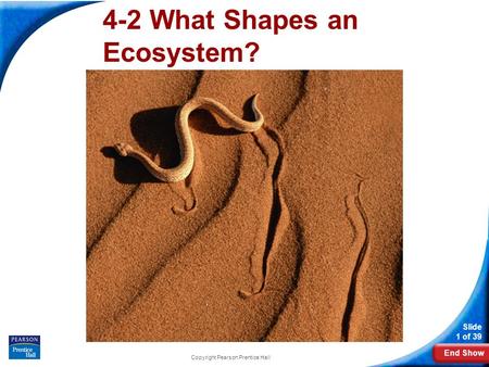 End Show Slide 1 of 39 Copyright Pearson Prentice Hall 4-2 What Shapes an Ecosystem?