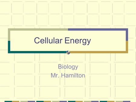 Cellular Energy Biology Mr. Hamilton. Use of Energy Autotrophs: Make their own energy during photosynthesis. Includes: plants, some bacteria & algae.