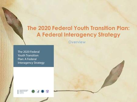 Overview The 2020 Federal Youth Transition Plan: A Federal Interagency Strategy.