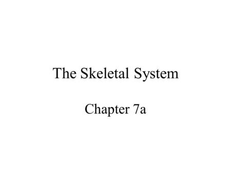 The Skeletal System Chapter 7a. Skeletal System Introduction Functions of the skeleton Framework of bones The skeleton through life.