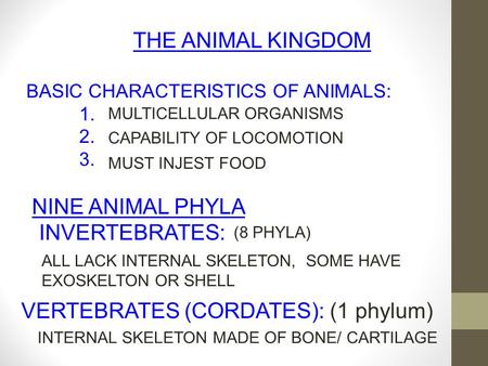 Animal Phyla Characteristics Chart