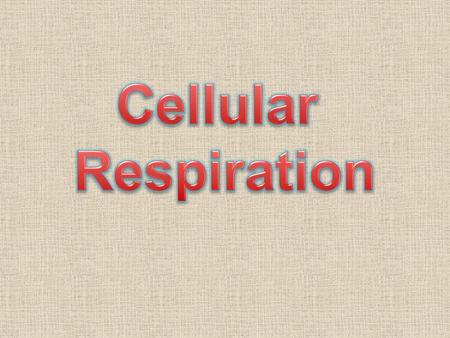 Definition – The process by which glucose molecules are broken down to release energy is called cellular respiration.