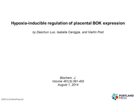 Hypoxia-inducible regulation of placental BOK expression by Daochun Luo, Isabella Caniggia, and Martin Post Biochem. J. Volume 461(3):391-402 August 1,