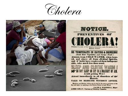 Cholera.
