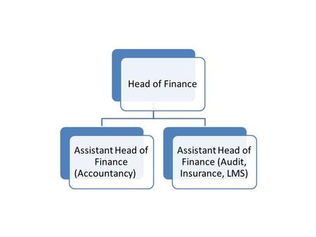 Head of Finance Assistant Head of Finance (Accountancy) Assistant Head of Finance (Audit, Insurance, LMS)