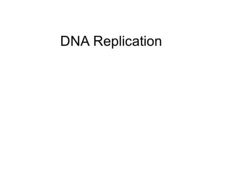 DNA Replication. Replication Occurs during cell division Must be accurate.