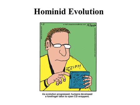 Hominid Evolution. Physical features that define humans as primates: grasping limbs with opposable thumb strong mobile arms/shoulders stereoscopic vision.