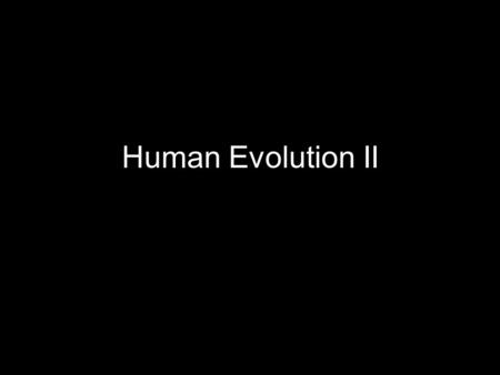 Human Evolution II.