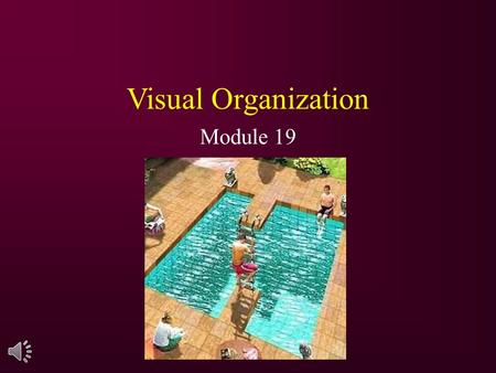 Visual Organization Module 19.