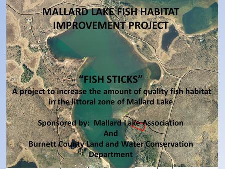 MALLARD LAKE FISH HABITAT IMPROVEMENT PROJECT “FISH STICKS” A project to increase the amount of quality fish habitat in the littoral zone of Mallard Lake.