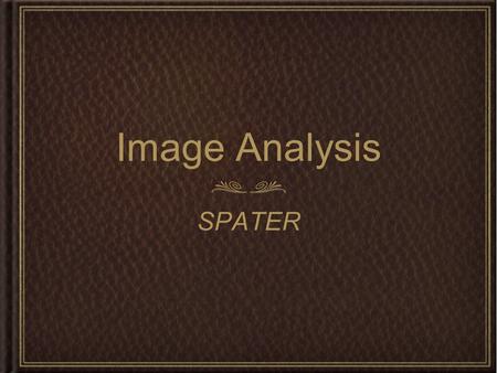 Image Analysis SPATER.