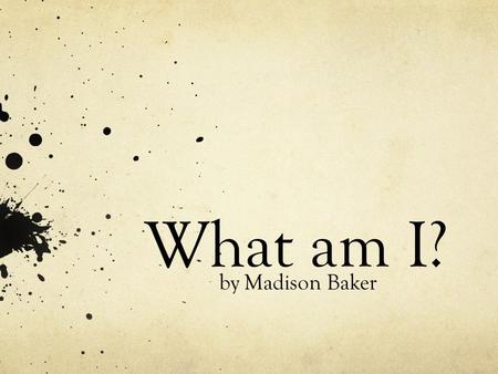 What am I? by Madison Baker. I am an incredible insect because I can do things animals can’t do.