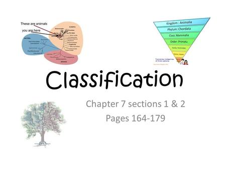Classification Chapter 7 sections 1 & 2 Pages 164-179.