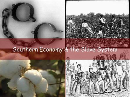 Southern Economy & the Slave System
