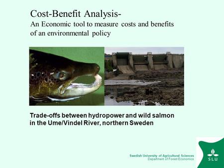Swedish University of Agricultural Sciences Department of Forest Economics Cost-Benefit Analysis- An Economic tool to measure costs and benefits of an.