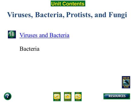 Unit Overview – pages 472-473 Viruses, Bacteria, Protists, and Fungi Viruses and Bacteria Bacteria.