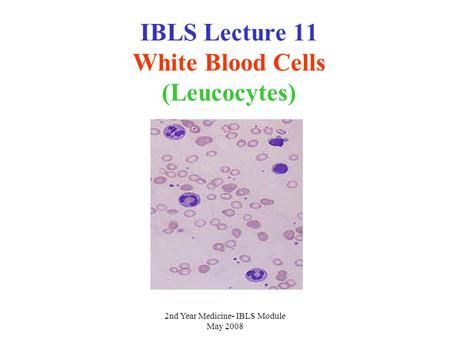 2nd Year Medicine- IBLS Module May 2008 IBLS Lecture 11 White Blood Cells (Leucocytes)