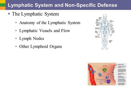 Lymphatic System and Non-Specific Defense  The Lymphatic System Anatomy of the Lymphatic System Lymphatic Vessels and Flow Lymph Nodes Other Lymphoid.