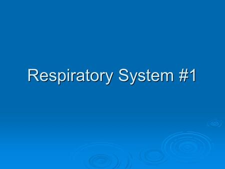 Respiratory System #1. Types of Respiration External: Actual breathing, it is the mechanical way to get oxygen into the lungs Internal: Occurs in the.