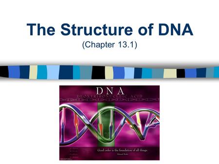 The Structure of DNA (Chapter 13.1). DNA: The Genetic Material Genes are made up of small segments of deoxyribonucleic acid or “DNA” DNA is the primary.