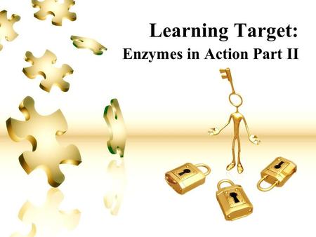 Enzymes in Action Part II