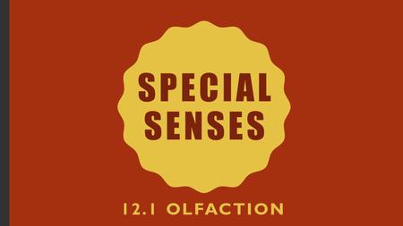 Special Senses 12.1 Olfaction.