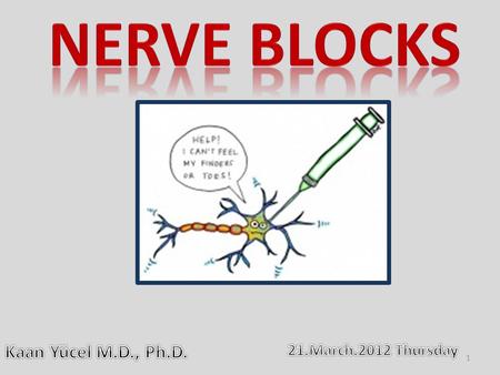 NERVE BLOCKS Kaan Yücel M.D., Ph.D. 21.March.2012 Thursday.