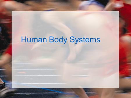 Human Body Systems. Organization of the Body List the levels of organization in a multicellular organism, from smallest to largest. –Cells –Tissues –Organs.